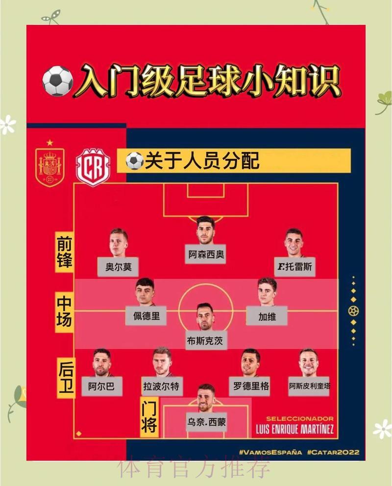 世界杯赛事观看与参与的安全指南