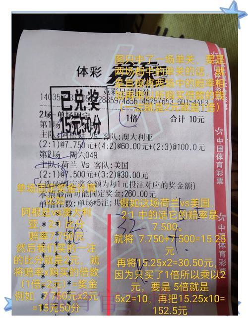 世界杯竞猜攻略：有限预算下的最佳投注方案规划